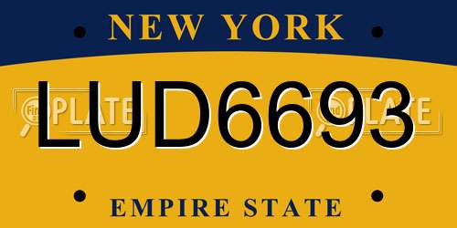 LUD6693 New York License Plate