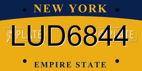 LUD6844 New York License Plate