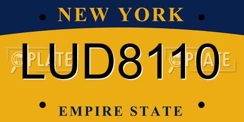 LUD8110 New York License Plate