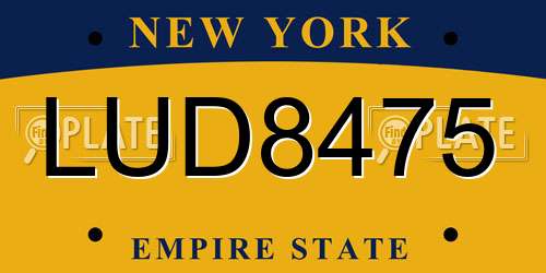 LUD8475 New York License Plate