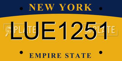 LUE1251 New York License Plate