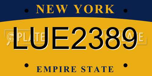 LUE2389 New York License Plate