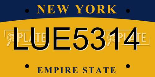 LUE5314 New York License Plate