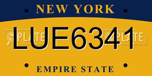 LUE6341 New York License Plate