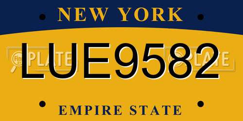 LUE9582 New York License Plate