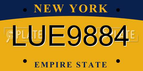 LUE9884 New York License Plate