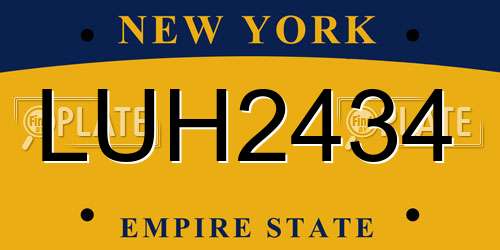 LUH2434 New York License Plate
