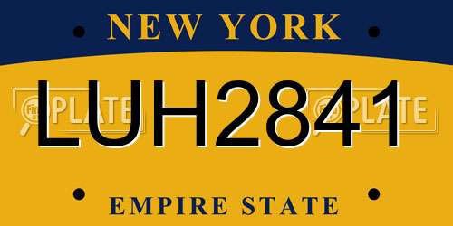 LUH2841 New York License Plate
