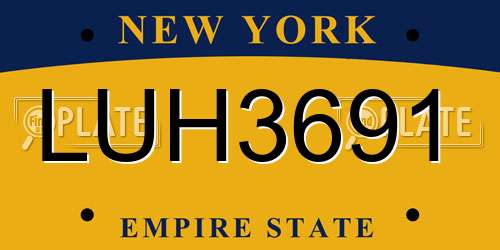 LUH3691 New York License Plate