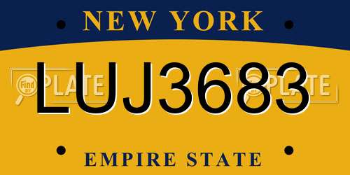 LUJ3683 New York License Plate