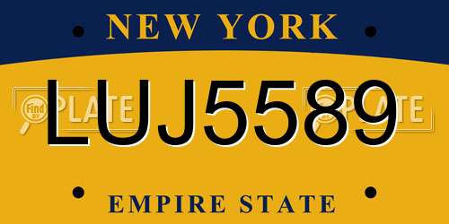 LUJ5589 New York License Plate