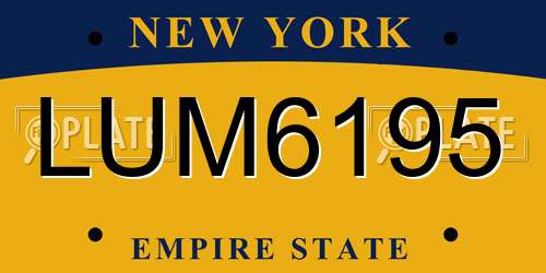 LUM6195 New York License Plate
