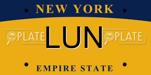 LUN New York License Plate