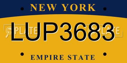LUP3683 New York License Plate