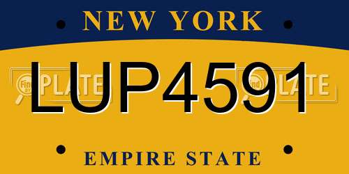 LUP4591 New York License Plate
