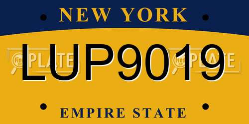 LUP9019 New York License Plate