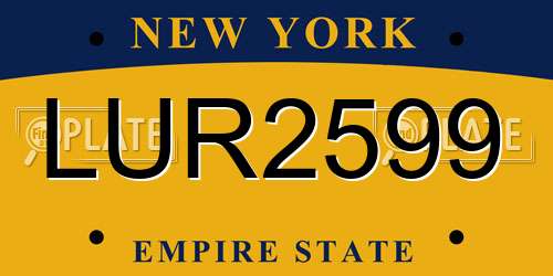 LUR2599 New York License Plate