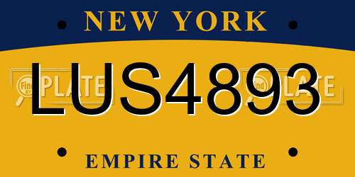 LUS4893 New York License Plate