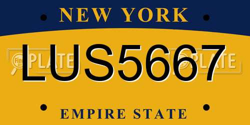 LUS5667 New York License Plate