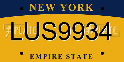 LUS9934 New York License Plate