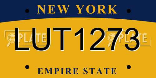 LUT1273 New York License Plate