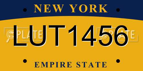 LUT1456 New York License Plate