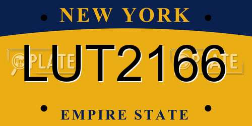 LUT2166 New York License Plate