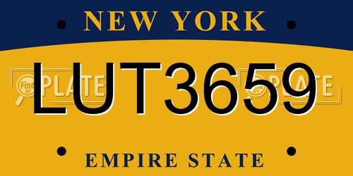 LUT3659 New York License Plate
