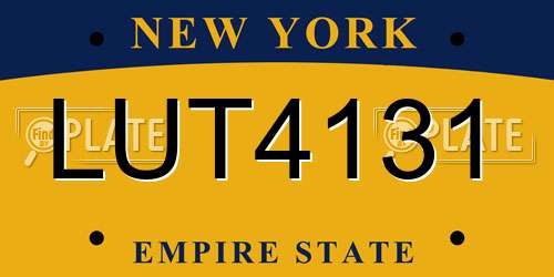 LUT4131 New York License Plate