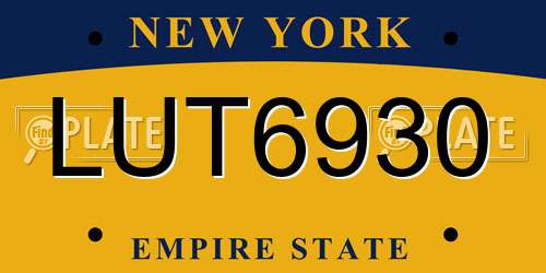 LUT6930 New York License Plate