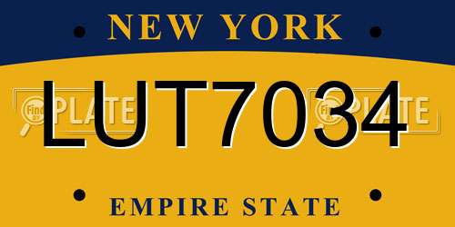 LUT7034 New York License Plate