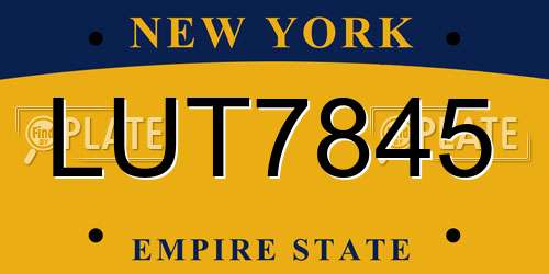 LUT7845 New York License Plate
