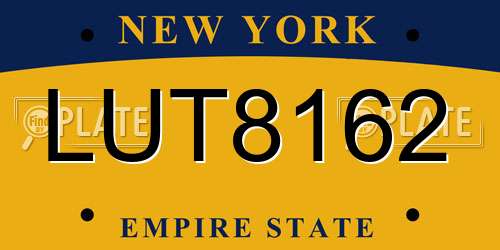 LUT8162 New York License Plate