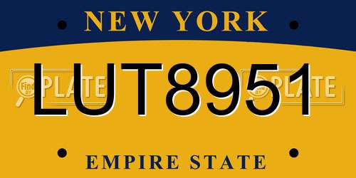 LUT8951 New York License Plate