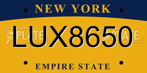 LUX8650 New York License Plate