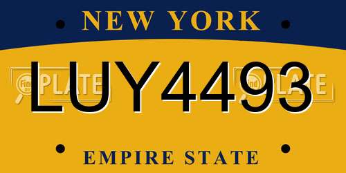 LUY4493 New York License Plate