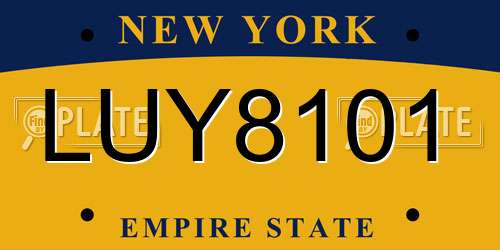 LUY8101 New York License Plate