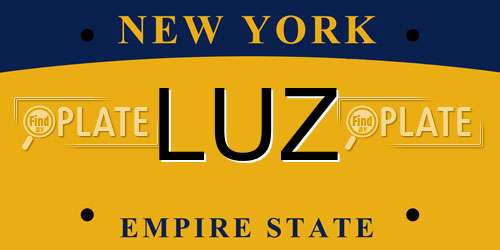 LUZ New York License Plate