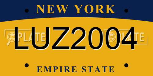 LUZ2004 New York License Plate
