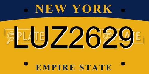 LUZ2629 New York License Plate