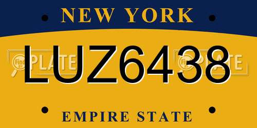 LUZ6438 New York License Plate