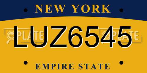 LUZ6545 New York License Plate