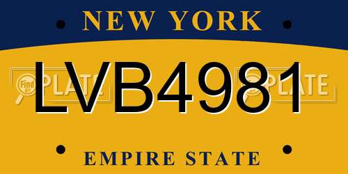 LVB4981 New York License Plate