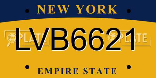 LVB6621 New York License Plate