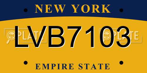 LVB7103 New York License Plate