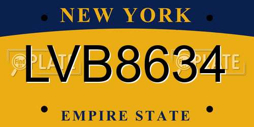 LVB8634 New York License Plate