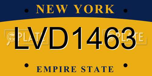 LVD1463 New York License Plate