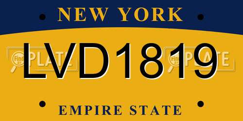 LVD1819 New York License Plate