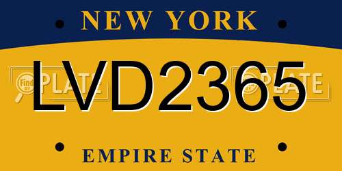 LVD2365 New York License Plate