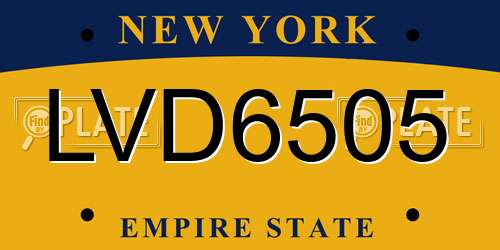 LVD6505 New York License Plate